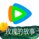 免费观看电视剧的网站有哪些比较好的